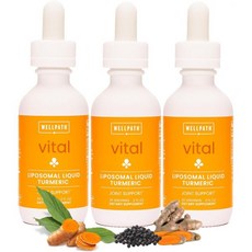 강황 치매 살균 리포솜 커큐민 블랙 페퍼 추출물이 함유된 액상 방울 | 비GMO 비건(2온스) (3팩), 강황 치매 살균 리포솜 커큐민 블랙 페퍼 추출물이 함유
