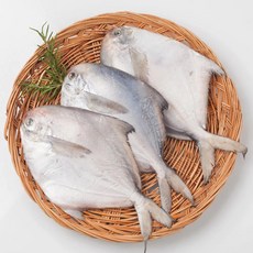 [산지직송] 국내산 손질 병어 비손질 구이 조림용, 1개, 2kg(비손질)