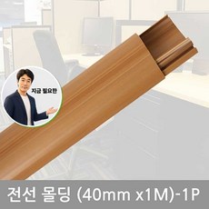 지금 필요한 40mm-1P 타원우두몰딩 전선몰딩 K31872EA, 본상품