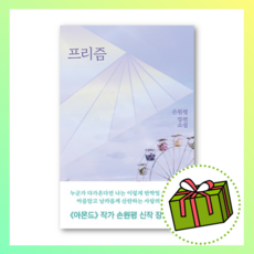프리즘 : 손원평 장편소설