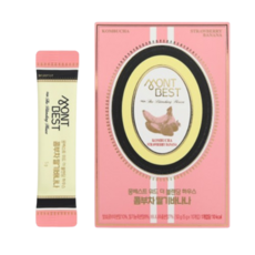 위드 더 블랜딩 하우스 콤부차 딸기바나나 4팩40스틱포, 10개입, 6개