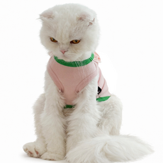 코코테일 사계절 아기고양이 뚱냥이 전용 옷 티셔츠, 1개, 핑크소르베