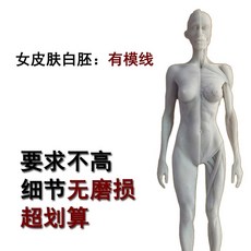 피규어 근육 뼈 근육 모형 전신상 드로잉 아나토미 모델, E. 암컷 피부 흰색 배아 W