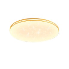 月樺燈飾 全光譜星空吸頂燈, 40CM 4200lm 智能高亮護眼款