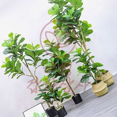 햬문스토어 고무나무 조화 150cm