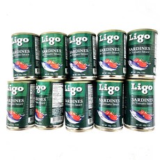 정어리 통조림 Ligo SARDINES in tomato sauce, 10개, 155g