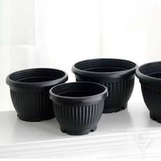 라세노 분재 호박화분 25x13 저면관수화분