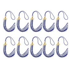 학사 가운 의식용 캡 장식과 호환되는 10Pcs 2026 기념 졸업식 태슬 인조 실크 태슬 참, Style C