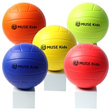 [판매중지상품]뮤즈 소프트 PU 피구공 5개 + 공보관 그물망, 1세트, MSP