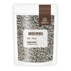 천일한약방 인도 쿠민 큐민 쯔란, 1개, 300ml