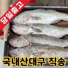 [산지직송] 국내산 급냉 대구 특품, 1개, 3kg(2~6미)