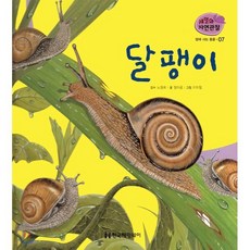 땅에 사는 동물 7: 달팽이, 한국헤밍웨이, 9791185241074, 노정래 감수/정미금 글/이미정 그림