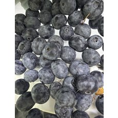 블루베리 Zero 무농약 국산 Plastic 실속형 정성 국내산 피로회복 200g 1개