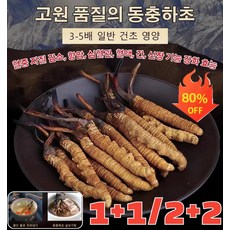 1+1/2+2 고급 동충하초 양질의 동충하초 면역력을 증강하다 인공으로 굴착하다, 동충하초 0.5g*(1+1)