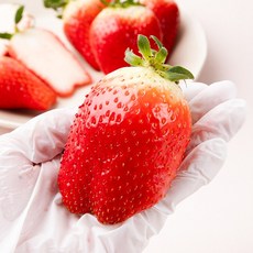 크게 베어먹는 대왕딸기 킹스베리 400g내외 압도적 크기 산지직송, 1개, 400g 내외 특(10-13과)