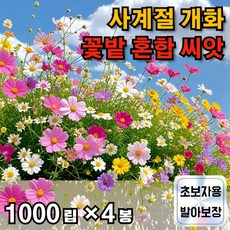 [발아 보장] 사계절 개화 꽃씨앗 꽃밭 혼합 씨앗 노지 월동 다채로운 야생화 혼색종자 정원 들꽃 씨앗 모음 (코스모스/물망초/수레국화 외), 4개