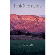 (영문도서)Pink Moments Paperback, Ted Cotti, English, 9798233138881