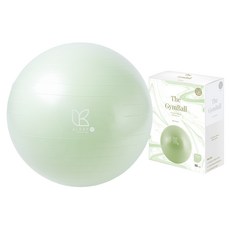 아리프 안티버스트 짐볼 55cm 그린티