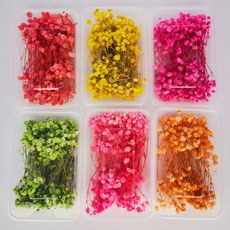 滿天星永生花 永久手工diy材料包幼兒園親子教具 團扇相框賀卡多色（滿169出貨）P3, 藍色,2盒（單盒更便宜）可備注顏色