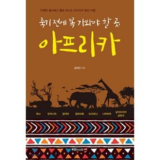 죽기 전에 꼭 가봐야 할 곳 아프리카, 북랩, 김국진 저