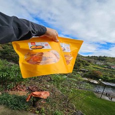 경남 하동 쫀득쫀득 대봉감말랭이 500G 1KG, 1개, 대봉감말랭이 1kg