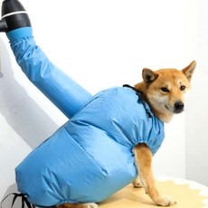 반려견 목욕 후 건조 의류 드라이 룸 강아지 빠른 건조 용품 애견 목욕 용품 펫, 1개, L(10kg-20kg)