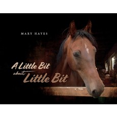 A Little Bit about Little Bit Paperback, Bookbaby, English, 9781098359188