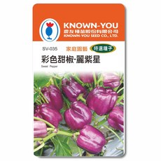 KNOWN-YOU 彩色甜椒-麗紫星種子，家庭園藝特選，紫色甜椒，高發芽率，輕鬆種植，享受豐收, 1個