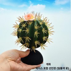 머스코 자동차 선인장모형 안테나 볼 장식용품, 선셋 플라워 선인장 받침대 포함