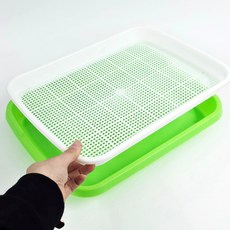 캣그라스 콩나물 상추 키우기 수경재배 2단 트레이