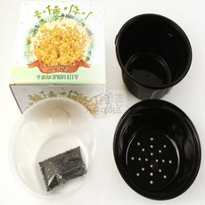가온데이즈 콩나물 키우기 키트 콩나물시루