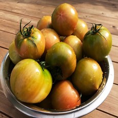 (산지 직송) 대저 짭짤이 토마토 특품, 1박스, 2.5kg (대과 L)