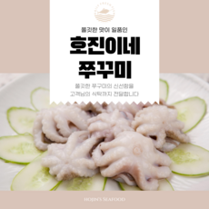 호진이네 냉동 쭈꾸미 급냉 대용량 쭈꾸미 쭈구미, 1개, 4팩16마리