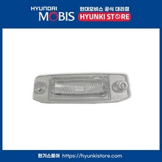 현대모비스 순정 베라크루즈 번호판 등 램프 렌즈 (925103B500), 1개, 컨텐츠 참조