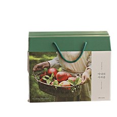아내의 사과즙 100ml 21포 선물세트 NFC착즙 100 HACCP 과일, 21개