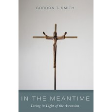 (영문도서)In the Meantime: Living in Light of the Ascension Paperback, Cascade Books, English, 9781666783735