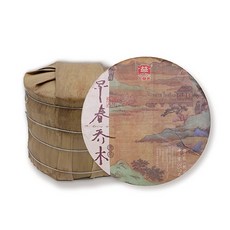 大益 1801 早春喬木 普洱熟茶 357克 禮盒組, 1個, 一筒＋一片