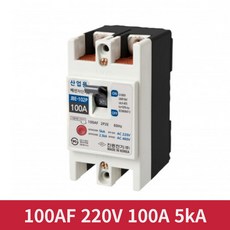 진흥 220V 100A 2P2E 100AF 산업용 배선차단기 MCCB 전기차단기 가설, 1개