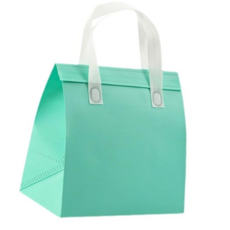 부직포 냉온 쇼핑백가방 민트 중(27x28x16cm)