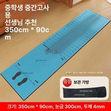 소르베어 제자리멀리뛰기 육상 운동회 측정기 체육, 1개, 블루 성인 고등학교용 350x90cm B