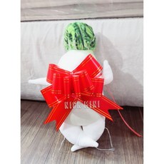 可愛鳳梨蘿蔔造型抱枕 新居入厝開運白菜抱枕 結婚捧花禮 聖誕交換禮物 生日禮物, 蘿蔔＋拉花