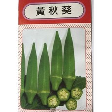 醬米資材 黃秋葵種子 DIY盆栽種植