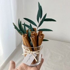 [로기블룸] 프리저브드 시나몬컵 집들이선물 촬영소품 테이블장식, 유칼립투스 니콜리