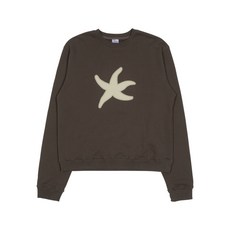 더콜디스트모먼트 TCM 불가사리 mtm (브라운)