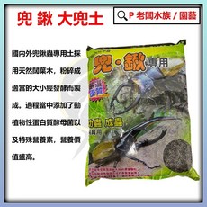 P老闆水族 綠兜土 兜 鍬 大兜土 獨角仙 鍬形蟲 兜蟲 甲蟲 產卵 飼養專用, 1個