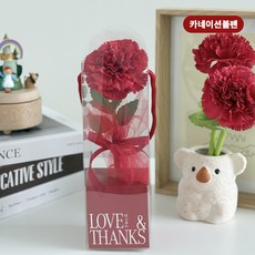 카네이션 볼펜 캐리어 스승의날 어버이날선물, 레드, 1개