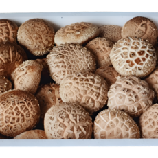 백화고버섯 몸에좋은 버섯 국내산 무농약 특품 생 백화고 명절선물세트 1.5kg, 특품선물세트 1.5kg, 1개