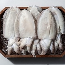 착한수산 국산 특대 갑오징어 활 갑오징어 생물 손질 갑오징어 급냉갑오징어, 1개, 급냉 손질 꼬마 갑오징어 500g(10미내외)