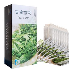 어린잎 건강한 힐링 차 다희연 비바리차 유기농 녹차 티백 TBV100, 100개입, 1.1g, 1개