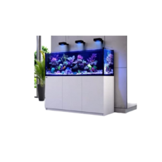 Red Sea 紅海 REEFER G2 超白玻璃專業過濾套缸 (170/XL200/250/350多尺寸可選), 1個, 170套缸(白)60×50×50cm, 白色